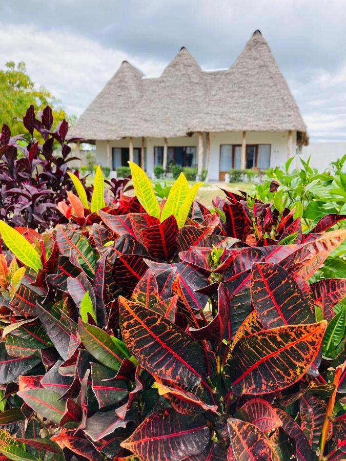 Miti Beach Bungalows ナングウィ エクステリア 写真